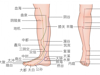 照海的功效与作用是什么 照海穴有哪些功效与作用