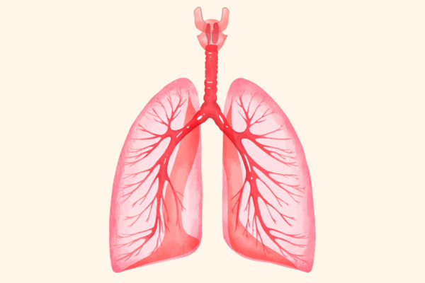 养肺护肺的最好方法