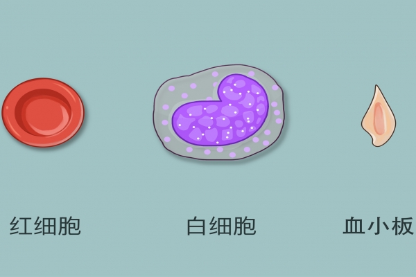 紫杉醇的疗效有什么