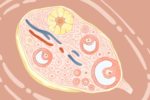 卵巢早衰的症状